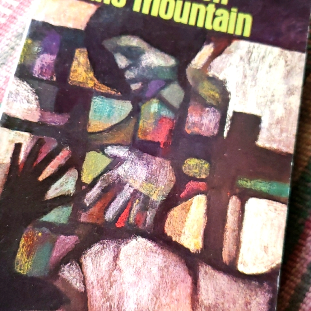 James Baldwin Go Tell It On The Mountain vintage 1978 Book 🔥 Cover ART